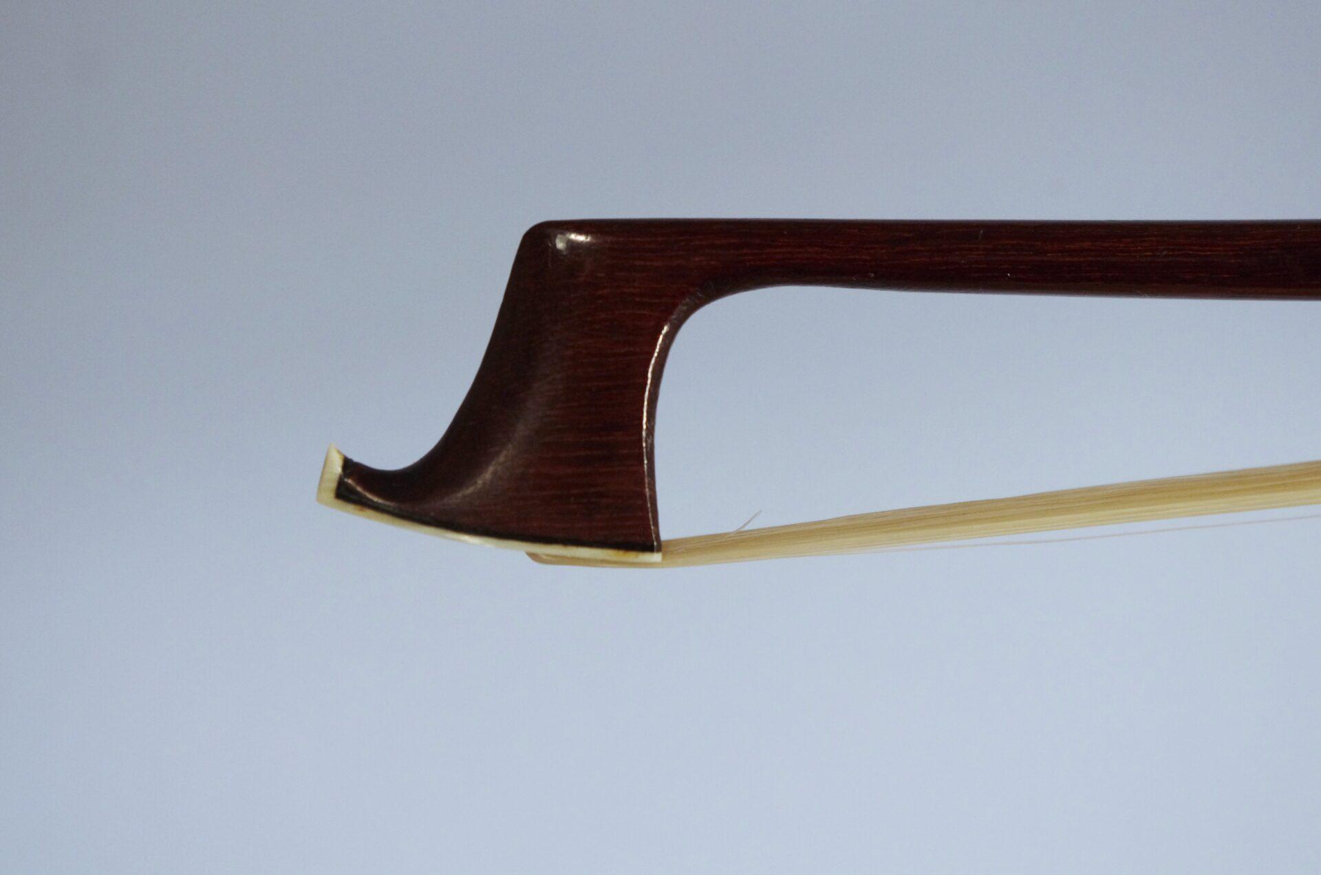 NSN508 Knopf family - Image 2